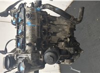 03E100032N Двигатель (ДВС) Volkswagen Polo 2005-2009 20391551 #7