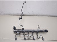 A6510700495 Рампа (рейка) топливная Mercedes C W204 2007-2013 20392410 #1