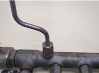 A6510700495 Рампа (рейка) топливная Mercedes C W204 2007-2013 20392410 #4