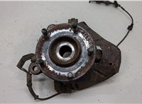  Ступица (кулак, цапфа) Ford Maverick 2000-2007 20392439 #1