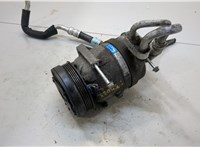  Компрессор кондиционера Chevrolet Aveo (T250 / 255) 2008-2011 20392591 #1