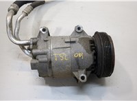  Компрессор кондиционера Renault Megane 2 2002-2009 20392652 #1
