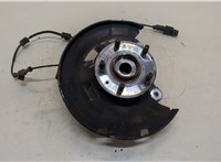  Ступица (кулак, цапфа) Opel Astra J 2010-2017 20392815 #1