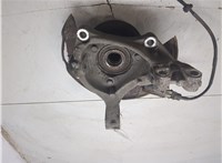 4802486, 20863127, 25944110, 4818699 Ступица (кулак, цапфа) Opel Antara 20392837 #7