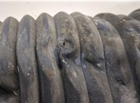  Амортизатор подвески Audi A8 (D3) 2002-2010 20392853 #5