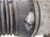  Амортизатор подвески Audi A8 (D3) 2002-2010 20392853 #7
