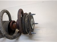  Амортизатор подвески Ford Transit 2006-2014 20392880 #2