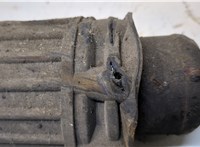 Амортизатор подвески Audi A8 (D3) 2002-2010 20392925 #4