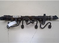 03L130089J Рампа (рейка) топливная Volkswagen Crafter 2006-2016 20393010 #1