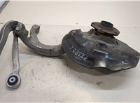  Ступица (кулак, цапфа) Audi A6 (C6) 2004-2011 20393031 #1