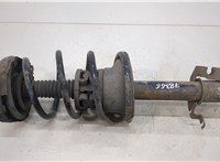  Амортизатор подвески Renault Scenic 1996-2002 20393077 #1