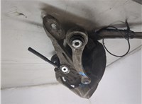 33326879101, 34216857981, 33406867811 Ступица (кулак, цапфа) BMW X5 E70 2006-2013 20393085 #8