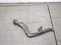  Горловина заливная топливная Nissan Almera N16 2000-2006 20393102 #1
