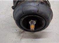  Амортизатор подвески Opel Vectra B 1995-2002 20393131 #4