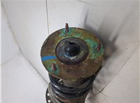 LR005573, RKB500220 Амортизатор подвески Land Rover Freelander 2 2006-2014 20393163 #6