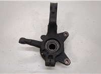  Ступица (кулак, цапфа) Renault Kangoo 2008-2013 20393332 #2