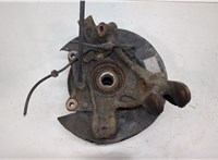  Ступица (кулак, цапфа) Volkswagen Touareg 2007-2010 20393448 #1