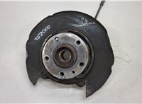  Ступица (кулак, цапфа) Volkswagen Touareg 2007-2010 20393457 #1