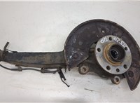  Ступица (кулак, цапфа) Volkswagen Touareg 2007-2010 20393529 #1