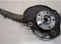  Ступица (кулак, цапфа) Volkswagen Touareg 2002-2007 20393821 #1