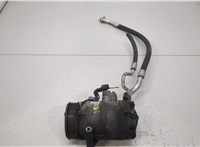  Компрессор кондиционера Nissan Qashqai 2006-2013 20393889 #1
