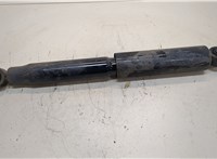  Амортизатор подвески Chevrolet Captiva 2006-2011 20394222 #1