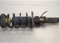  Амортизатор подвески Skoda Fabia 2007-2014 20394259 #1