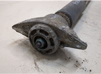  Амортизатор подвески Audi A3 (8P) 2003-2013 20394292 #2