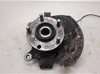  Ступица (кулак, цапфа) Nissan Qashqai 2006-2013 20394437 #1