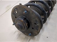  Амортизатор подвески Chevrolet Captiva 2006-2011 20394453 #2