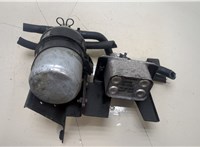  Корпус топливного фильтра Volkswagen Sharan 2000-2010 20393922 #1