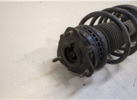  Амортизатор подвески Ford Fiesta 2001-2007 20394659 #3