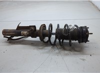 1329536, 2S6118146DA Амортизатор подвески Ford Fiesta 2001-2007 20394659 #4