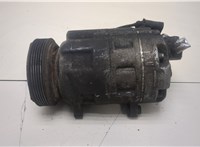  Компрессор кондиционера Volkswagen Golf 4 1997-2005 20394678 #1