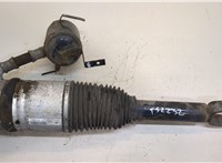  Амортизатор подвески Audi A8 (D3) 2002-2010 20394826 #1
