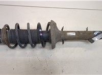  Амортизатор подвески Volkswagen Golf 4 1997-2005 20395301 #1