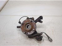  Ступица (кулак, цапфа) Ford Focus 1 1998-2004 20395838 #1
