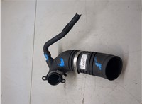  Патрубок интеркулера Audi A6 (C5) 1997-2005 20395895 #1