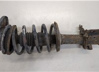  Амортизатор подвески Renault Megane 1996-2002 20396339 #1