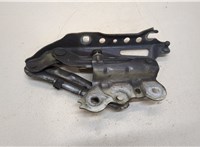  Петля капота Skoda SuperB 2015- 20396355 #3