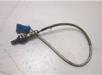  Лямбда зонд Citroen Xsara 2000-2005 20397240 #1