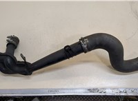  Патрубок интеркулера Citroen C5 2008- 20397481 #2