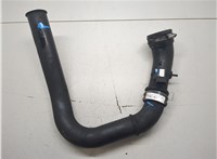  Патрубок интеркулера Opel Movano 1998-2010 20397696 #1