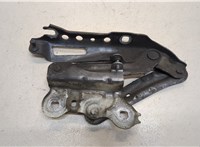  Петля капота Skoda SuperB 2015- 20397873 #3