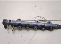 Рампа (рейка) топливная Nissan X-Trail (T31) 2007-2015 20398547 #1