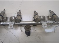 13537591623 Форсунка топливная BMW 1 F20, F21 2011-2019 20398966 #1