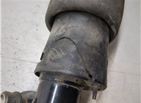 RNB000740G Амортизатор подвески Land Rover Range Rover 3 (LM) 2002-2012 20403404 #6