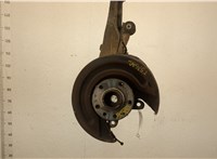  Ступица (кулак, цапфа) Volkswagen Transporter 5 2003-2015 20403809 #1