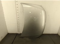  Капот Volkswagen Polo 2009-2014 20403816 #1