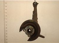  Ступица (кулак, цапфа) Volkswagen Transporter 5 2003-2015 20403817 #1